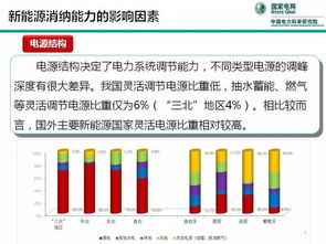 中国电科院王伟胜 关于新能源消纳能力的思考